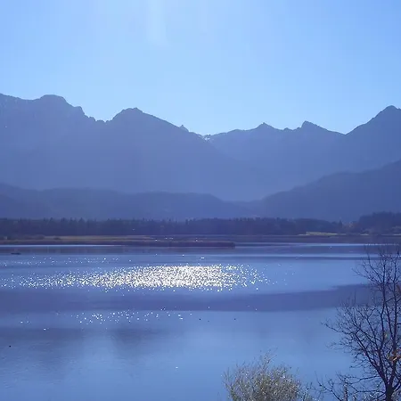 Guggomos Hopfen Am Füssen