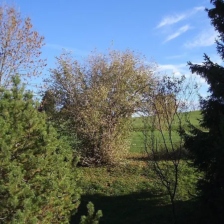 Apartamento Gaestehaus Guggomos 